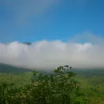Levanta