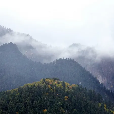 Levanta Casa de hóspedes 3*