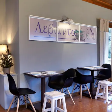 Levanta Casa de hóspedes 3*